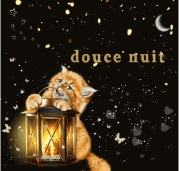 douce nuit chat